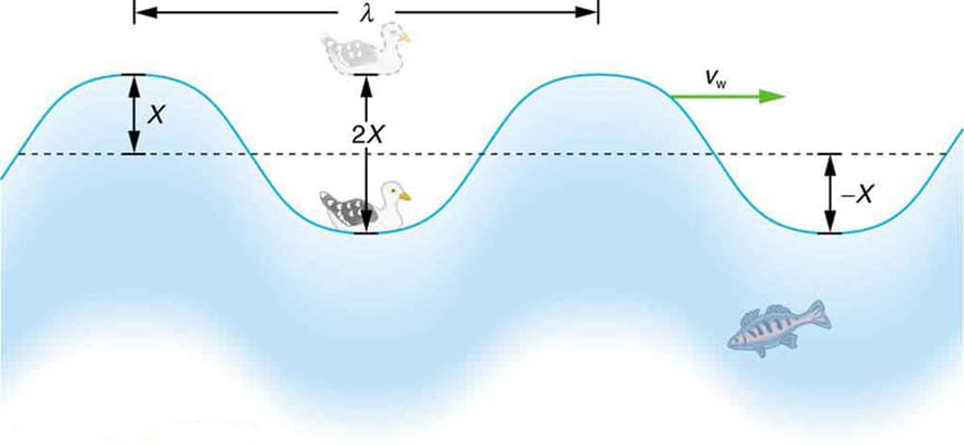 Idealized Ocean Wave